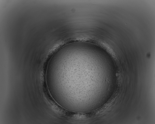 X0000097960354200804011703