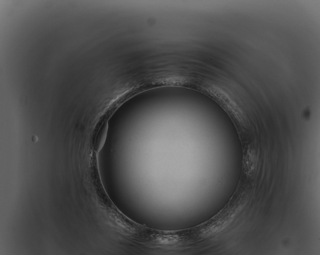 X0000097960355200804011703