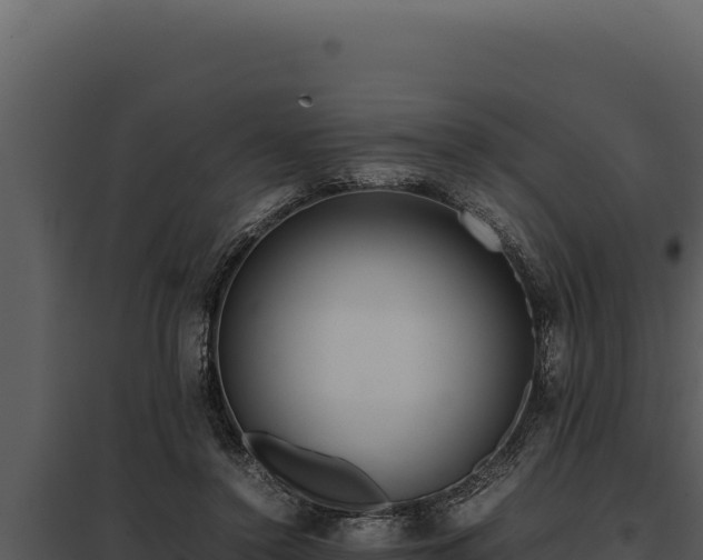 X0000097960356200804011703