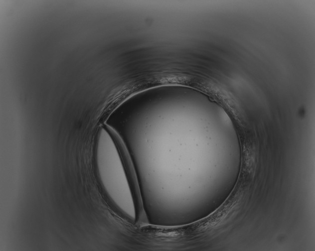 X0000097960357200804011703