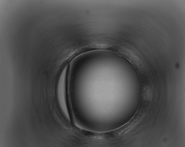 X0000097960358200804011703