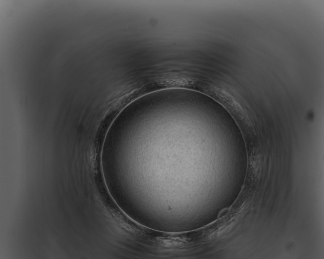 X0000097960359200804011703