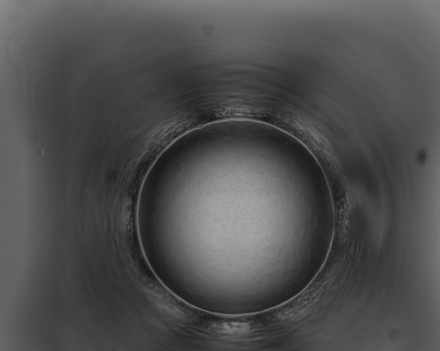 X0000097960361200804011703