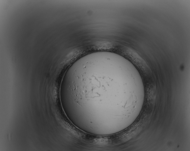 X0000097960362200804011703