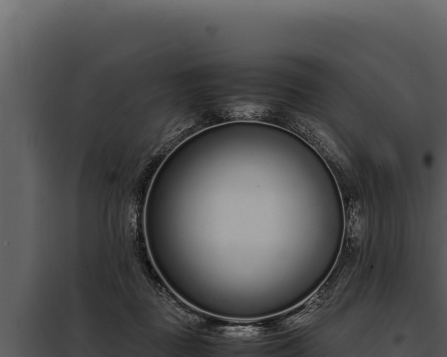 X0000097960363200804011703