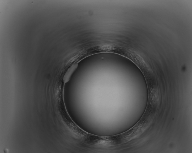 X0000097960364200804011703