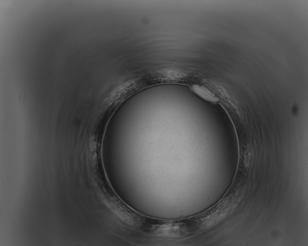 X0000097960366200804011703