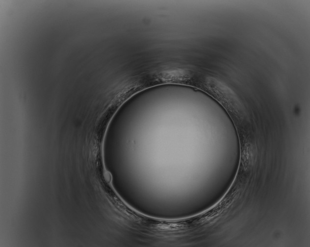 X0000097960367200804011703