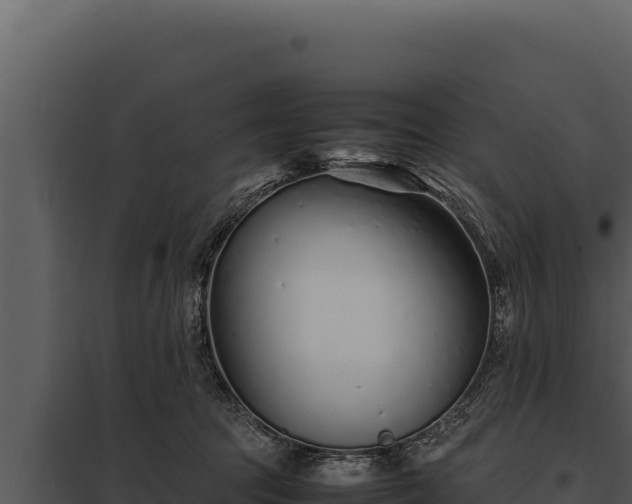 X0000097960369200804011703