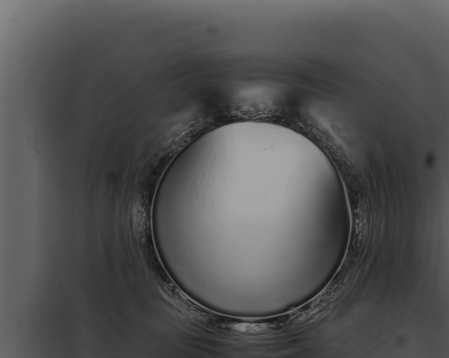X0000097960371200804011703