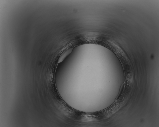 X0000097960372200804011703