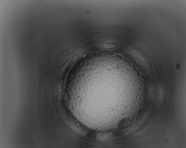 X0000097960373200804011703