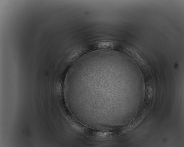 X0000097960375200804011703