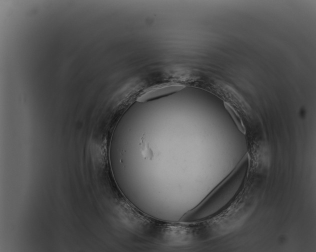 X0000097960376200804011703