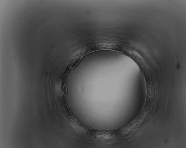 X0000097960377200804011703