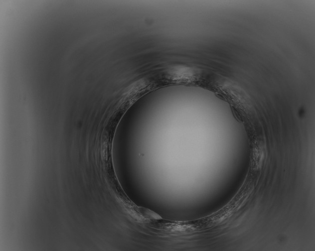 X0000097960379200804011703