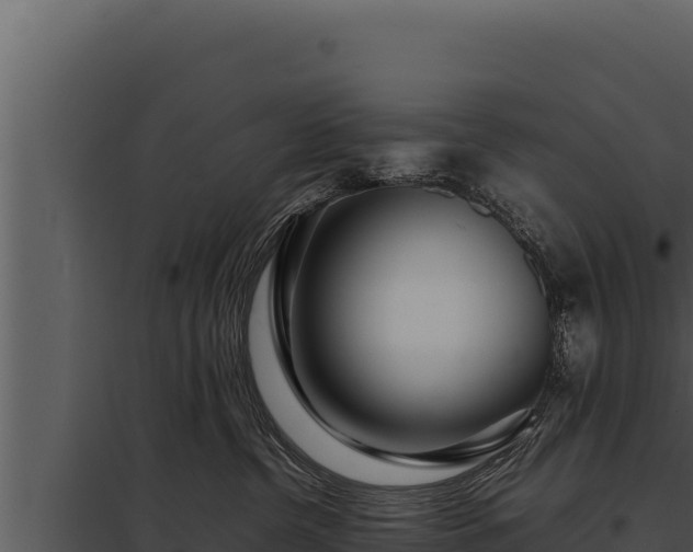 X0000097960380200804011703