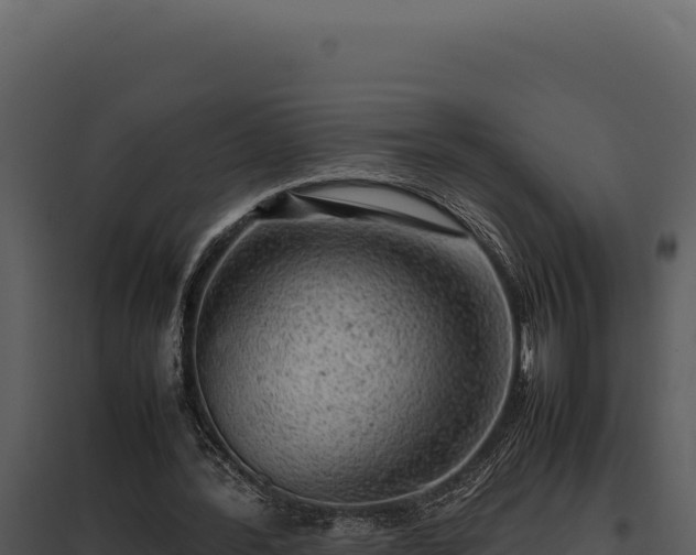 X0000097960388200804011703