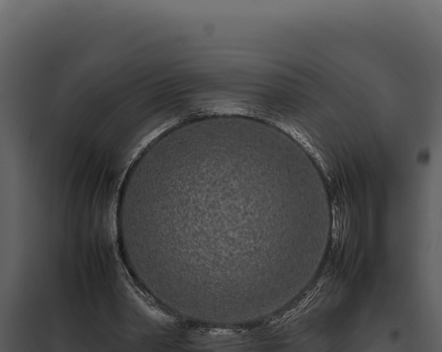 X0000097960390200804011703