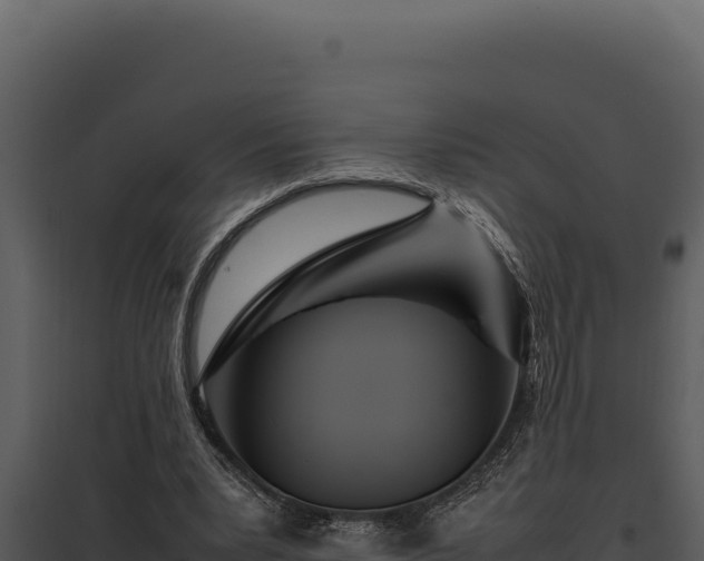 X0000097960391200804011703
