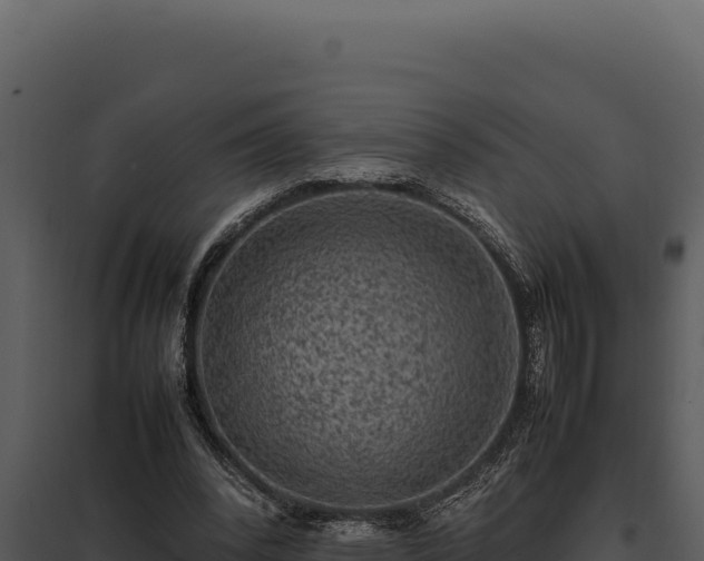 X0000097960392200804011703