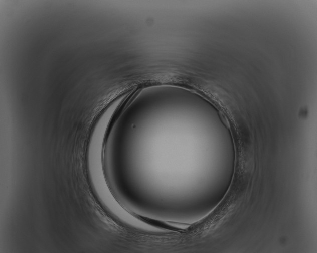 X0000097960393200804011703