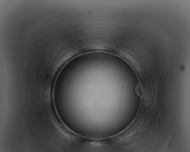 X0000097960394200804011703