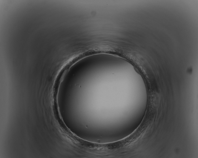 X0000097960395200804011703