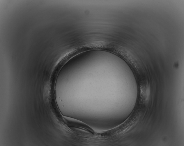 X0000097960396200804011703