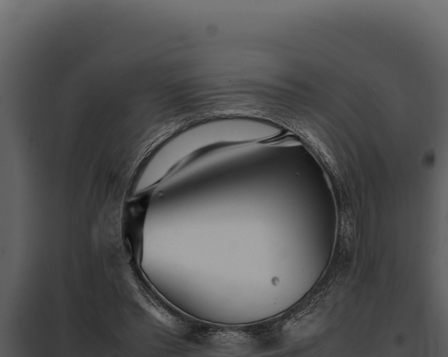 X0000097960397200804011703