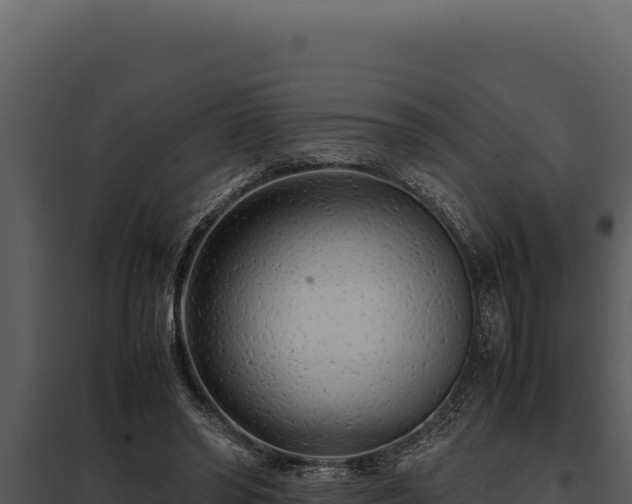 X0000097960398200804011703