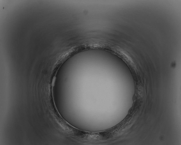 X0000097960401200804011703