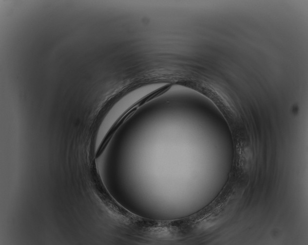 X0000097960404200804011703