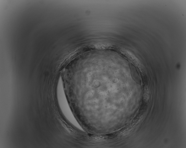 X0000097960405200804011703