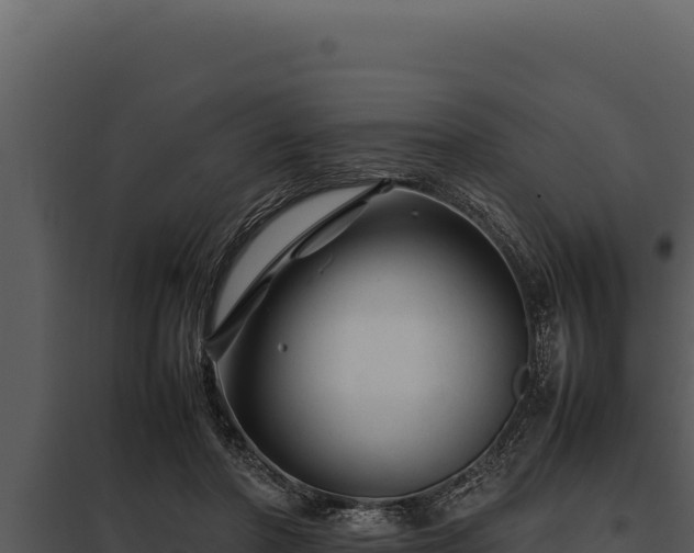 X0000097960406200804011702