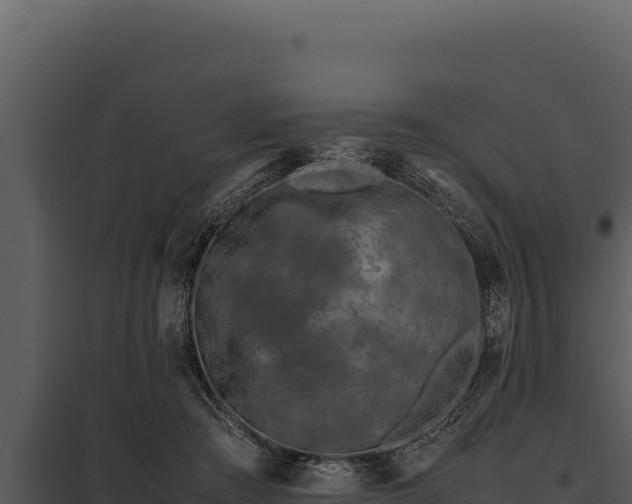 X0000097960409200804011702