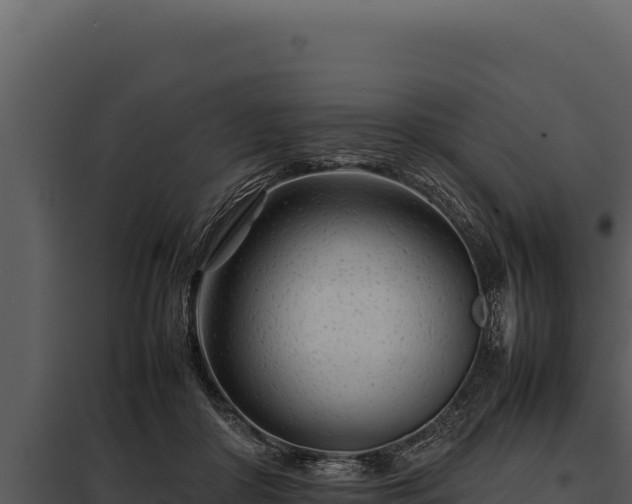 X0000097960410200804011702