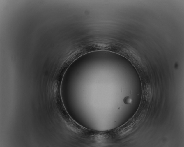 X0000097960412200804011702