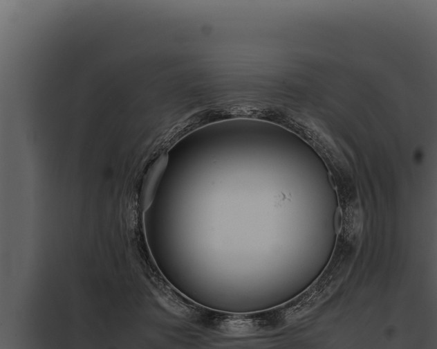 X0000097960413200804011702