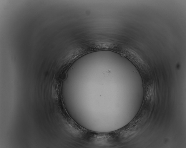 X0000097960414200804011702
