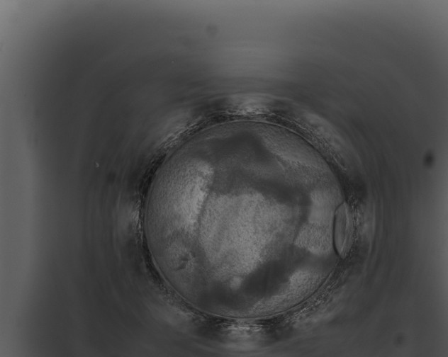 X0000097960415200804011702