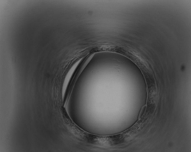 X0000097960417200804011702