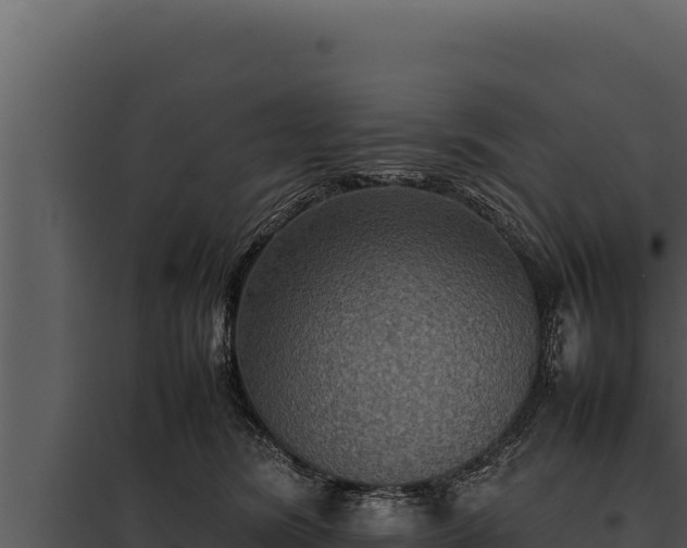X0000097960420200804011702