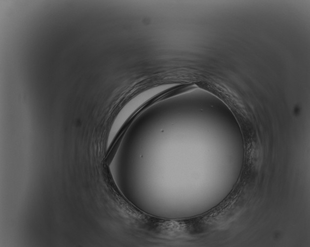 X0000097960421200804011702