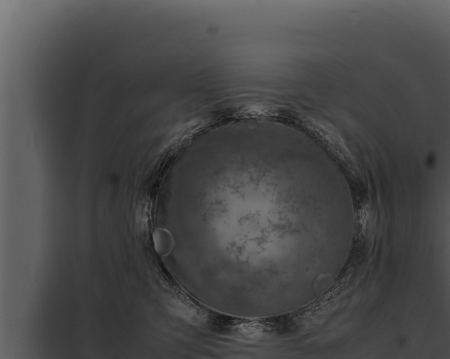 X0000097960423200804011702