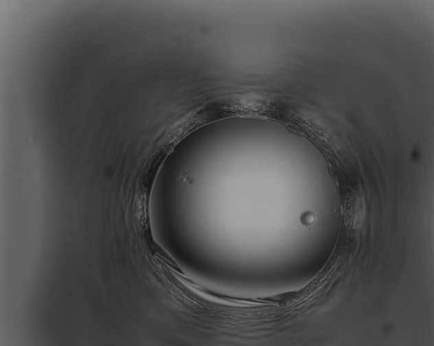 X0000097960425200804011702