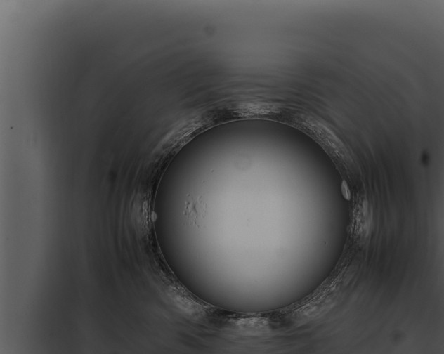 X0000097960426200804011702