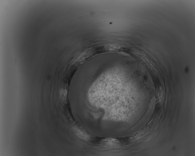 X0000097960427200804011702