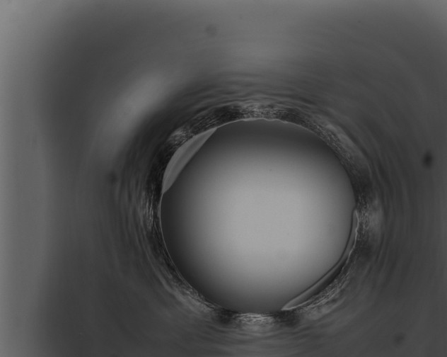 X0000097960429200804011702