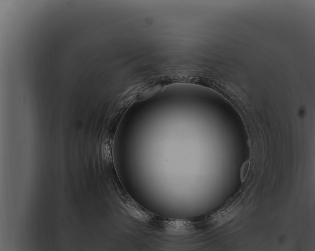 X0000097960432200804011702